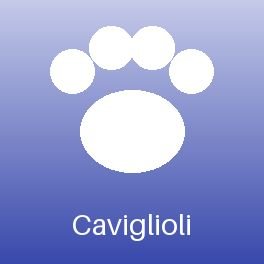 Caviglioli C.