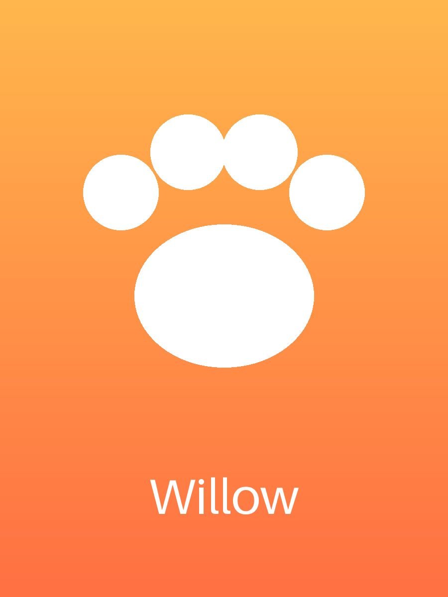 Willow