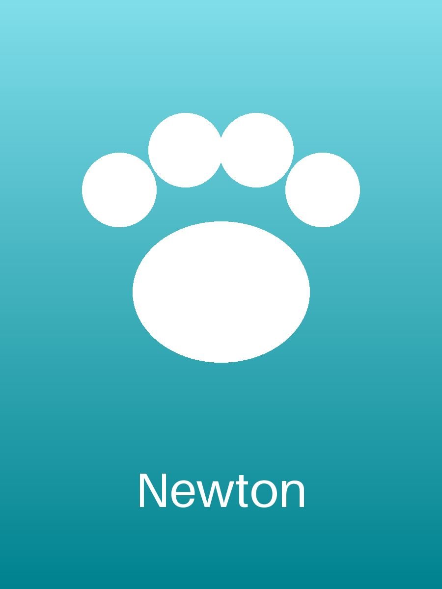Newton