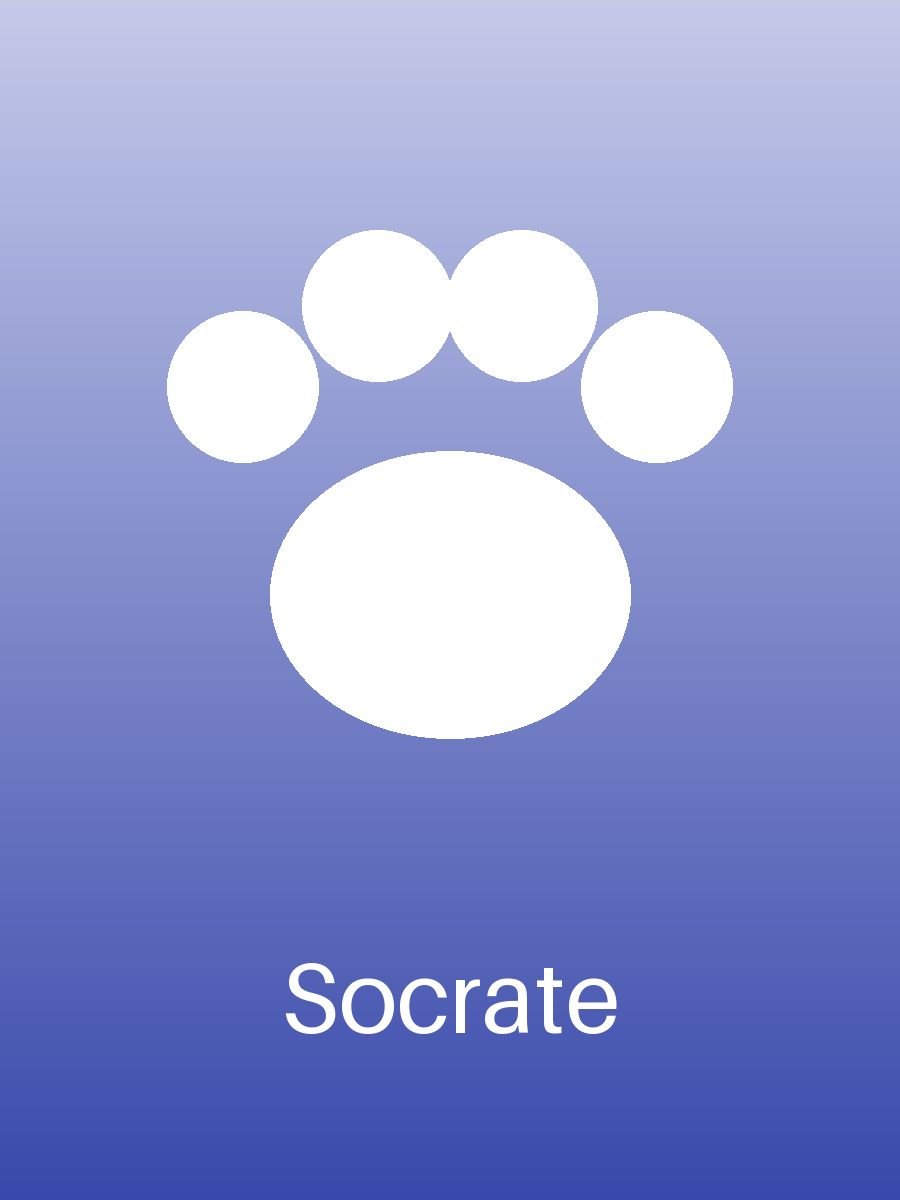 Socrate