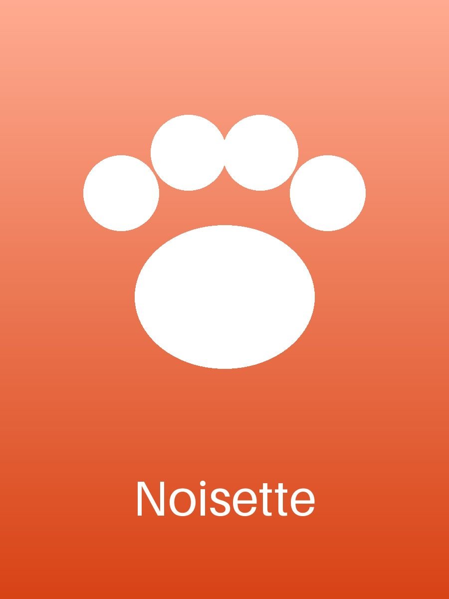 Noisette