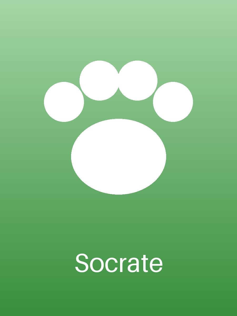 Socrate (2/3)