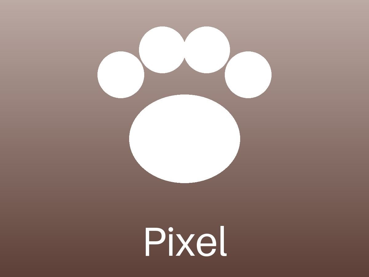 Pixel