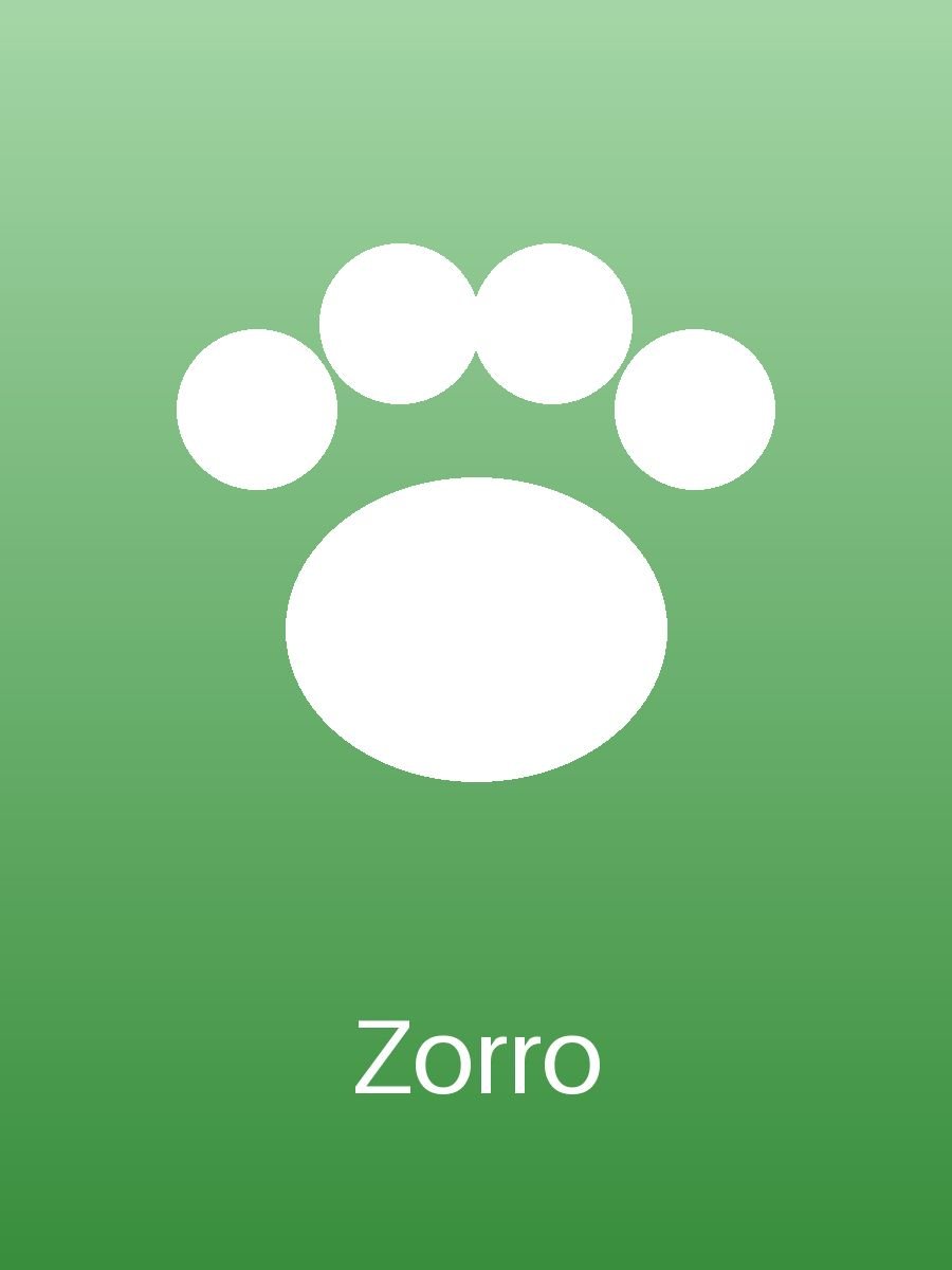 Zorro (3/3)