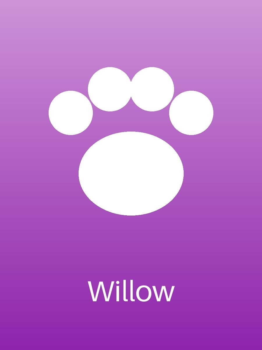 Willow (6/6)