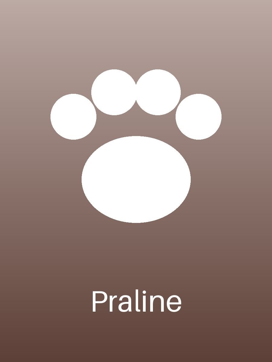 Praline