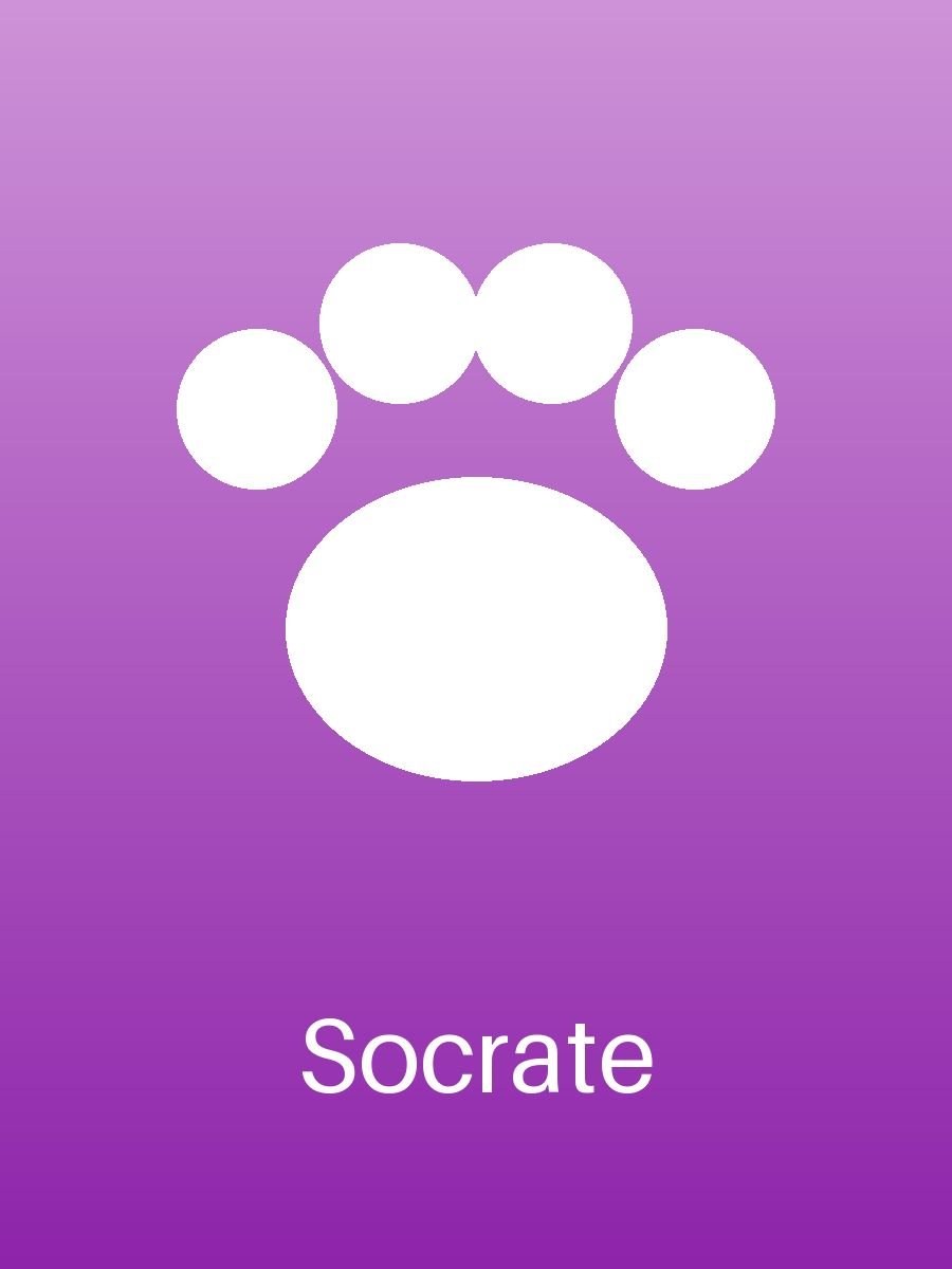 Socrate