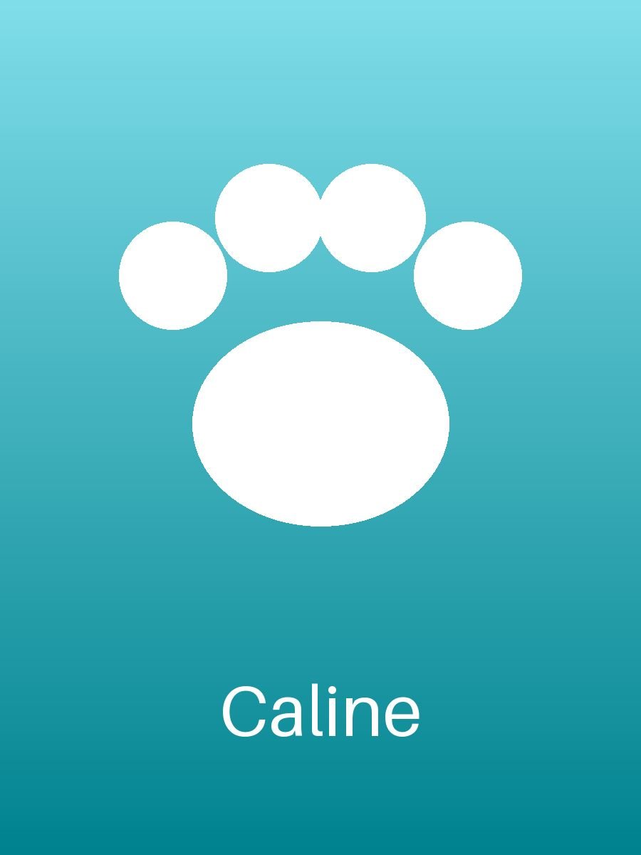 Caline