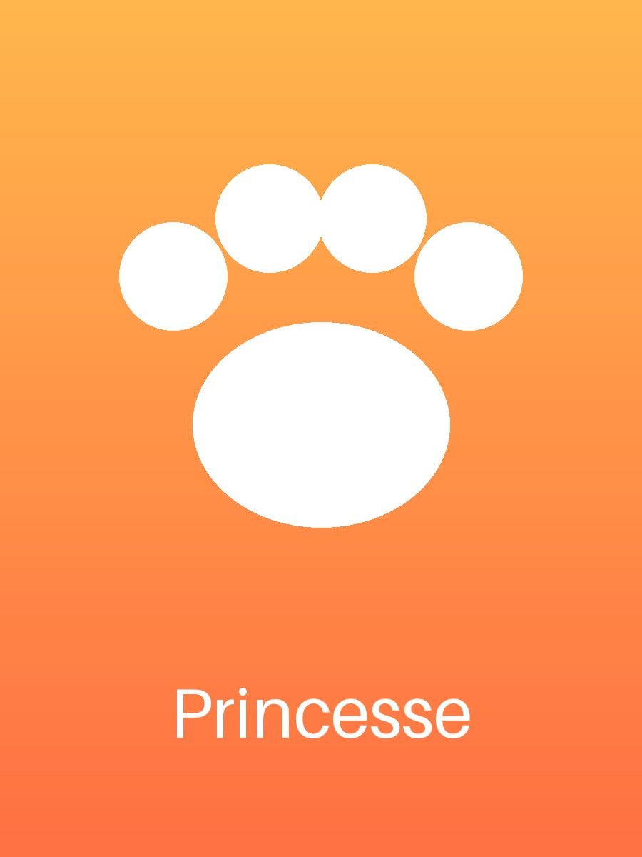 Princesse