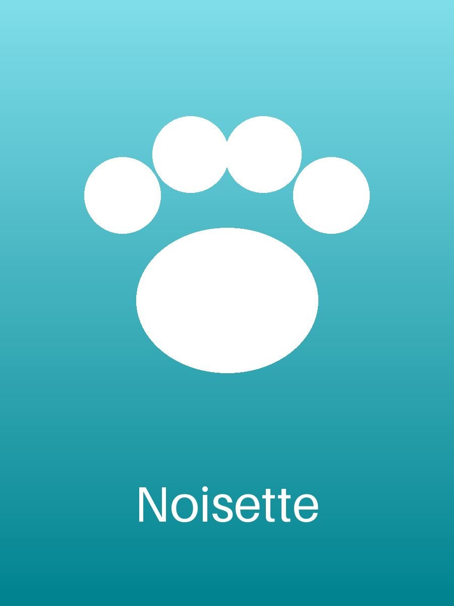 Noisette