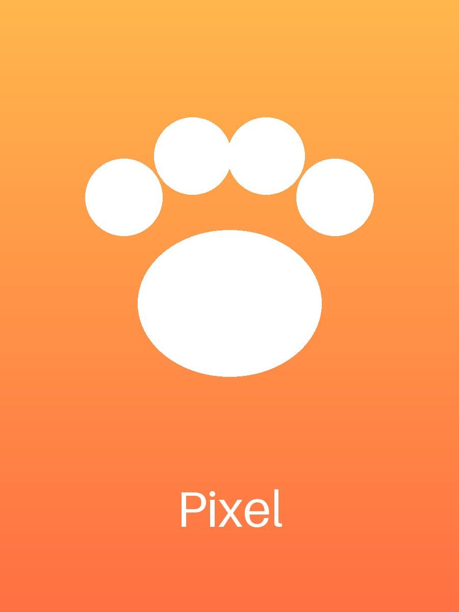 Pixel