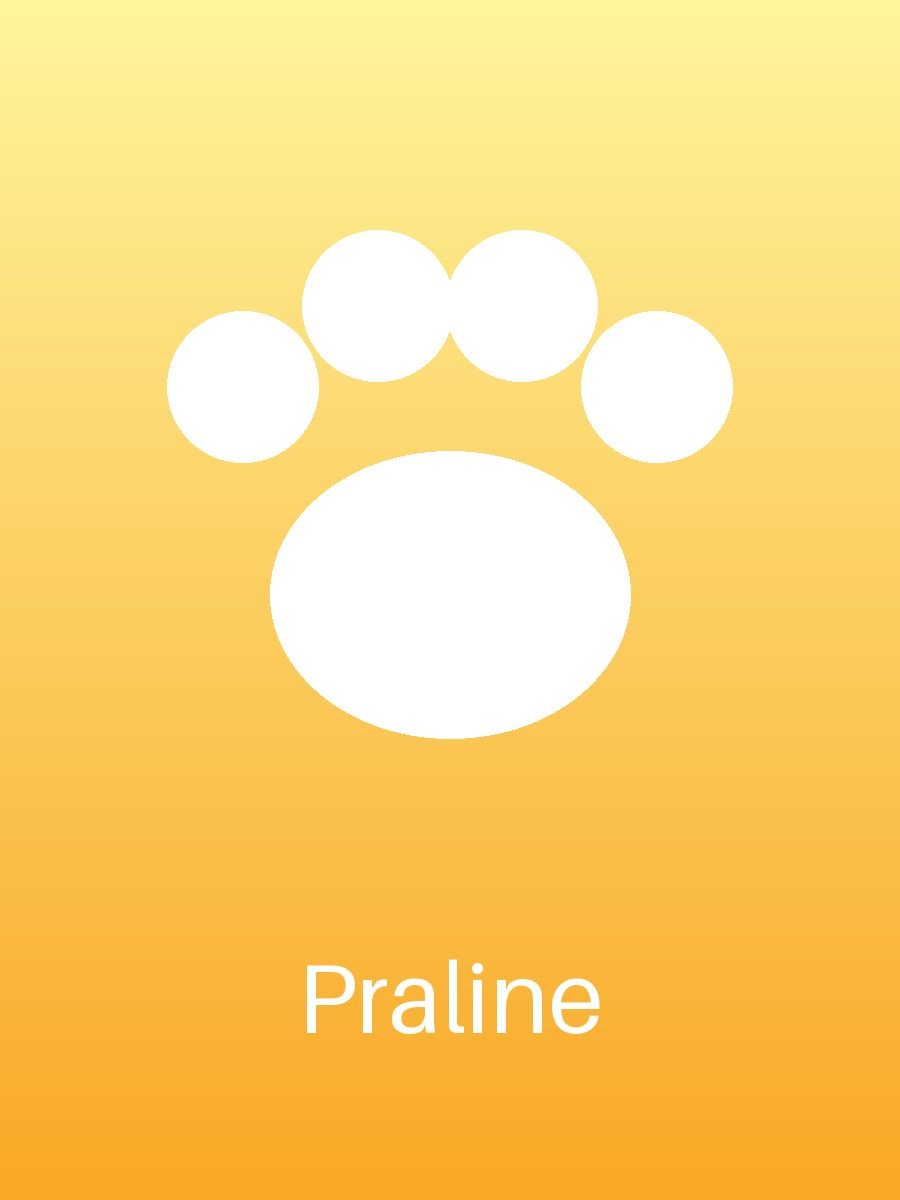 Praline (3/4)