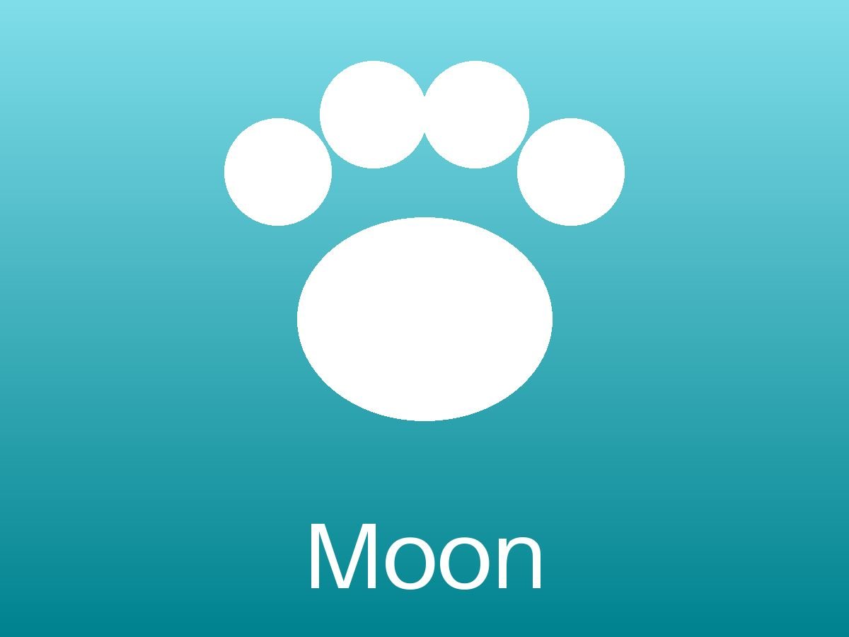 Moon