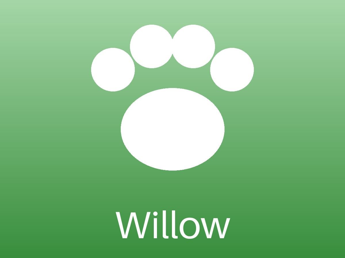 Willow (4/6)