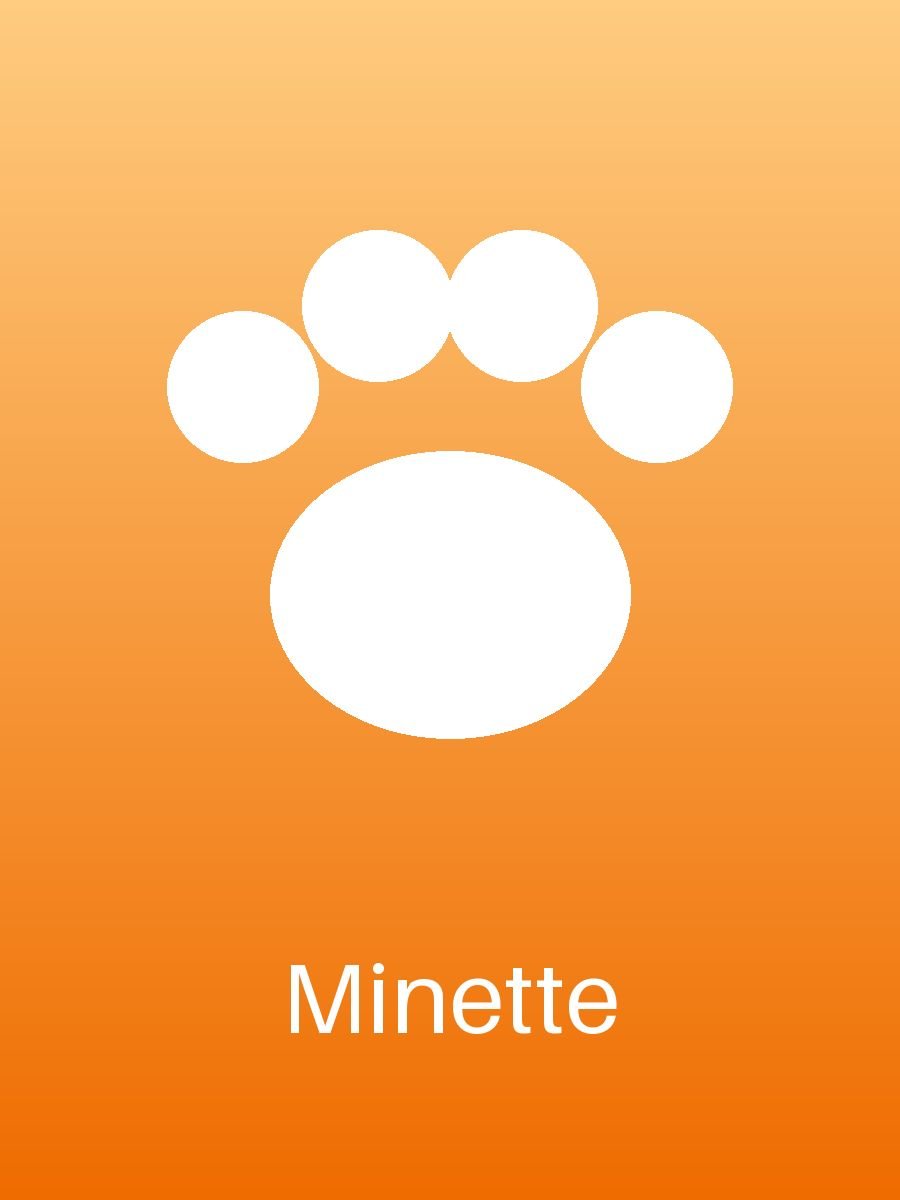 Minette