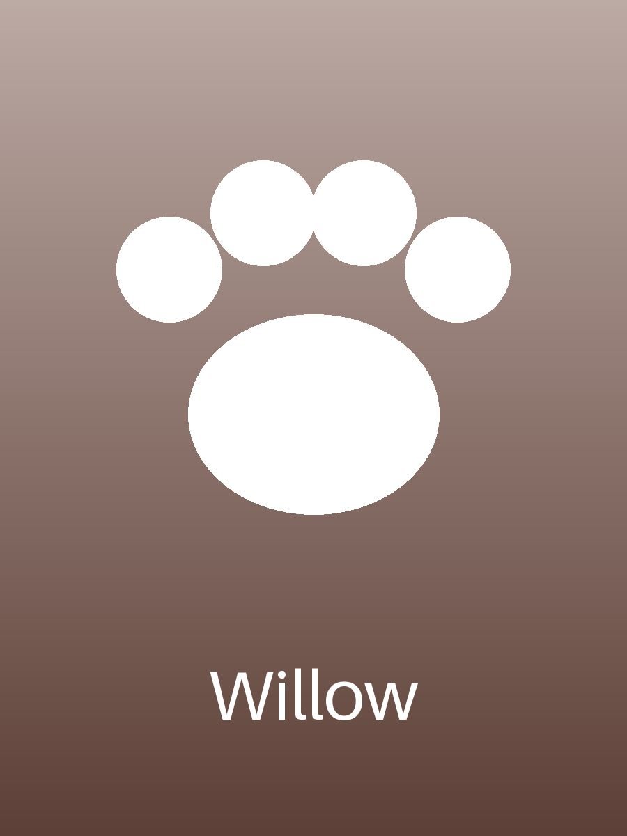 Willow (3/6)