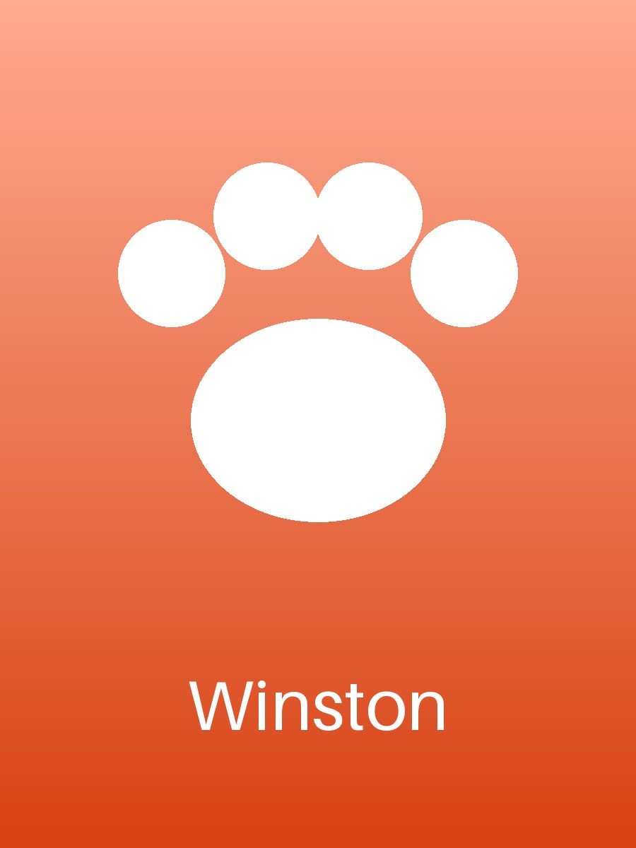 Winston