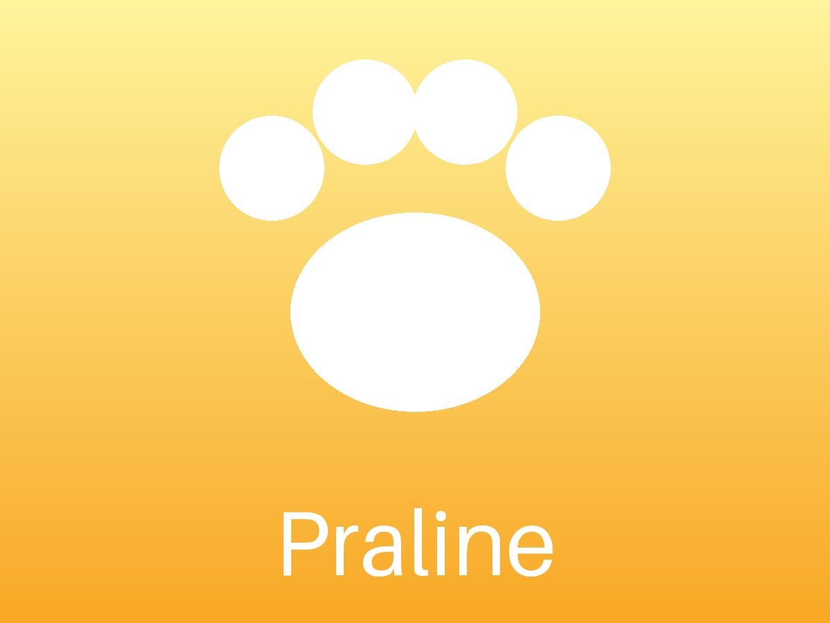 Praline (4/4)