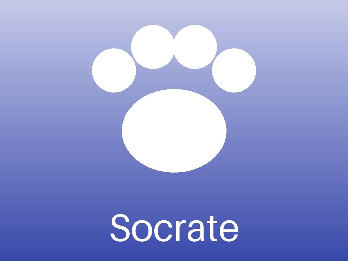 Socrate (3/3)