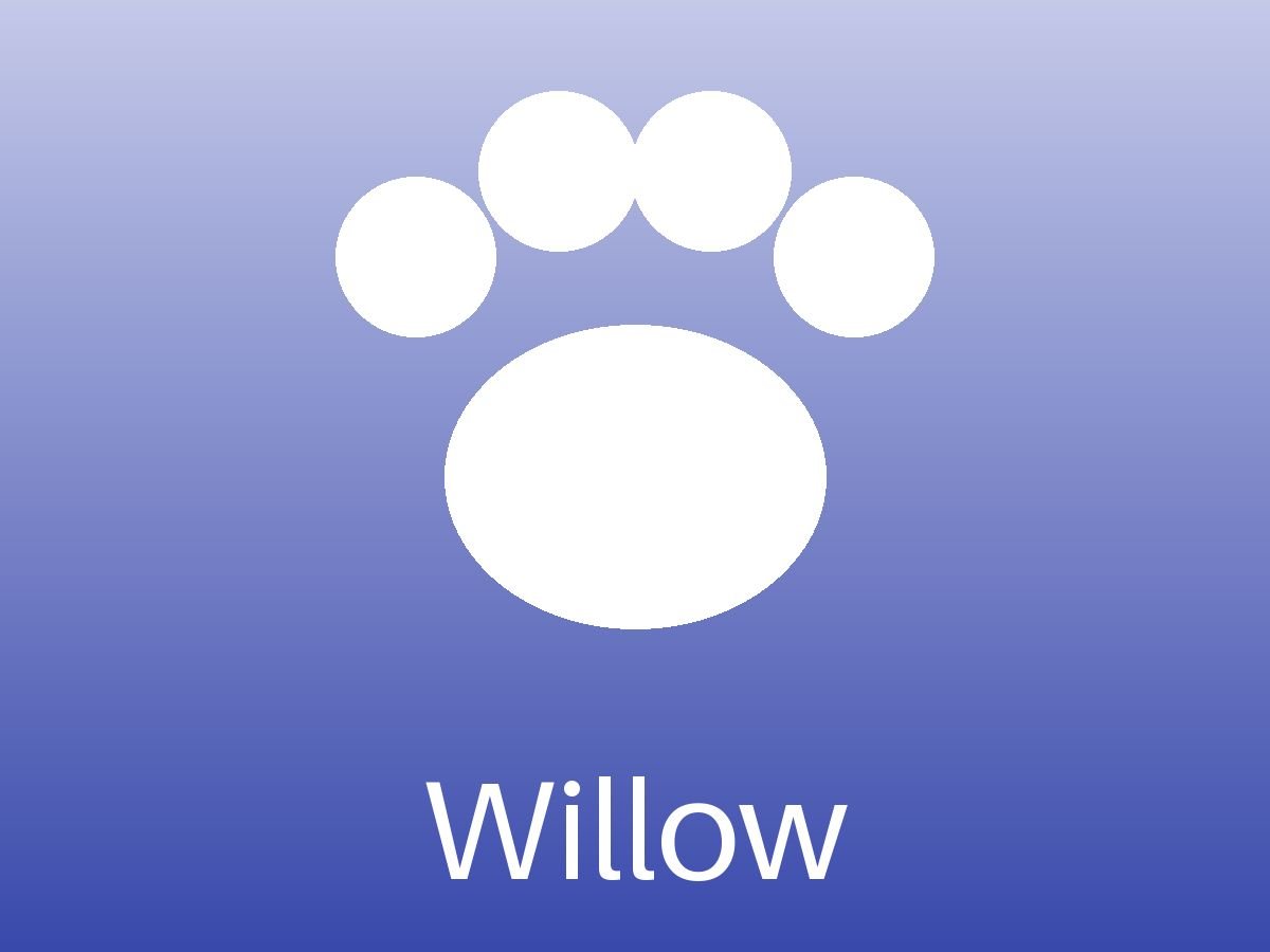 Willow (5/6)