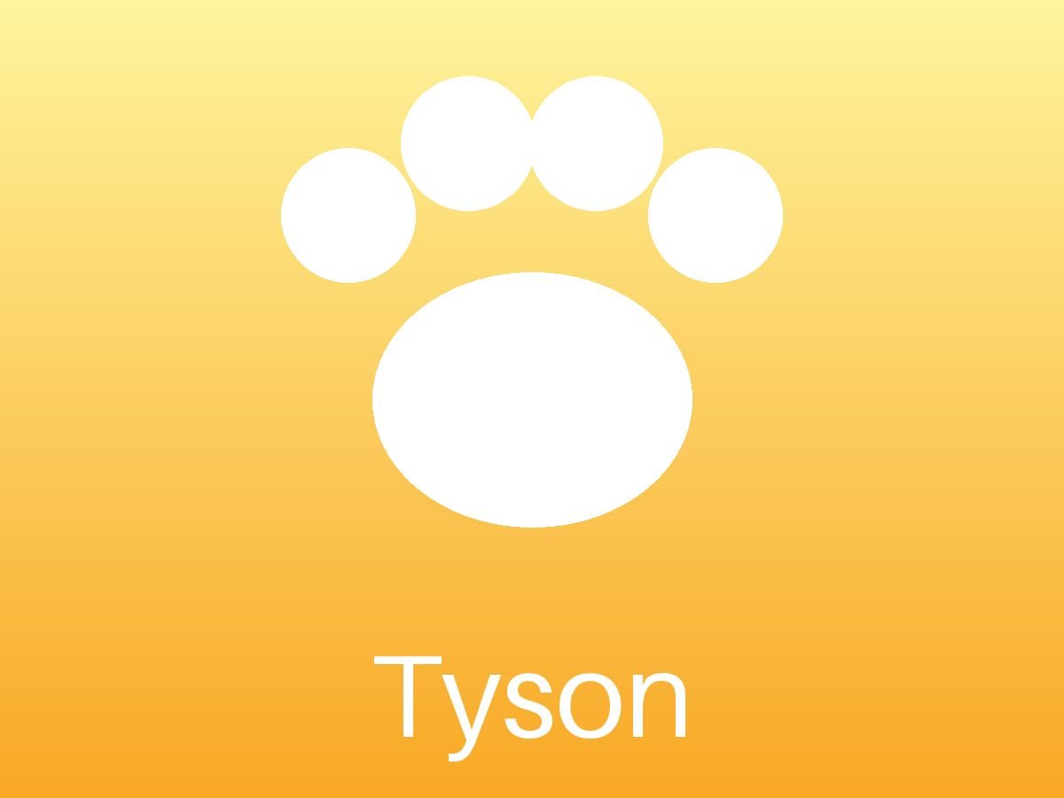 Tyson (3/3)