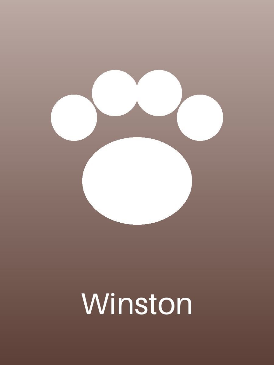 Winston