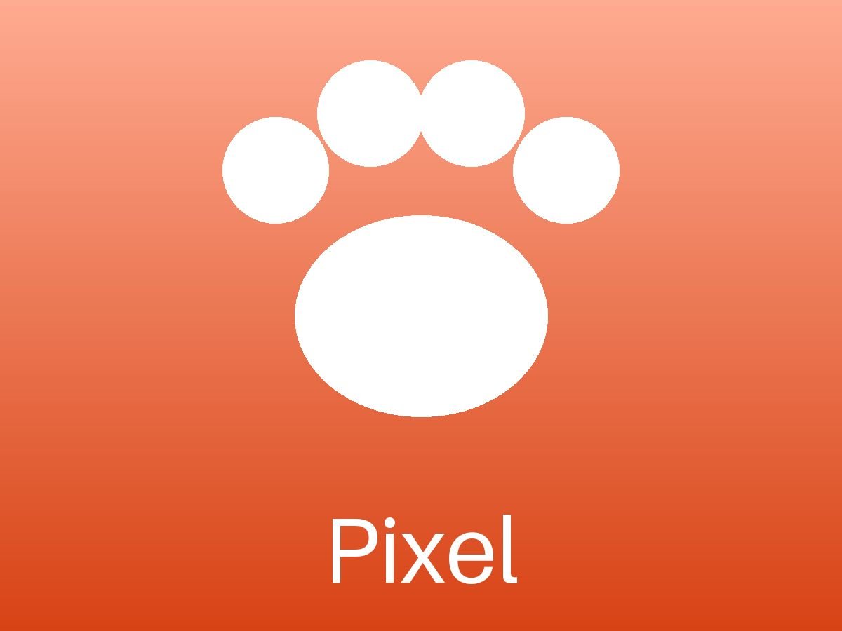 Pixel